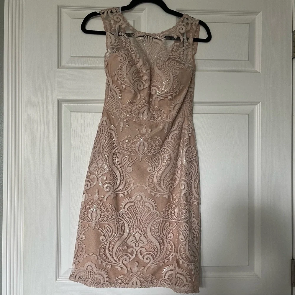 Jenny Yoo Lace Midi Dress - Size 2 Blush from Anthropologie - Picture 4 of 13